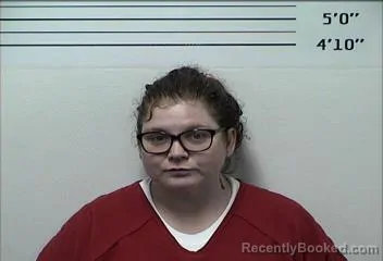 Mugshot of HEATHER RANA REYNOLDS booked in Rhea County, Tennessee on June 27, 2026