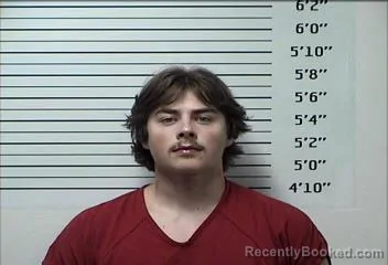 Mugshot of DALCEN NATHANIEL DAVIS booked in Rhea County, Tennessee on June 28, 2026