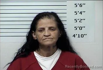 Mugshot of NANCY CHRISTINE MEARS booked in Rhea County, Tennessee on July 2, 2026