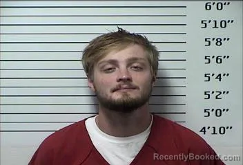 Mugshot of GABRIEL MICHAEL GREESON-LAW booked in Rhea County, Tennessee on July 7, 2026