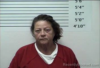 Mugshot of MICHELLE WESLINE DESEAR booked in Rhea County, Tennessee on July 10, 2026
