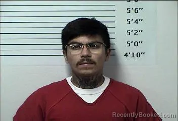 Mugshot of FRANKLIN RICHARD LOPEZ booked in Rhea County, Tennessee on July 12, 2026