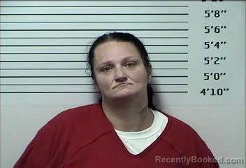 Mugshot of BRANDY NICOLE GARREN booked in Rhea County, Tennessee on July 13, 2026