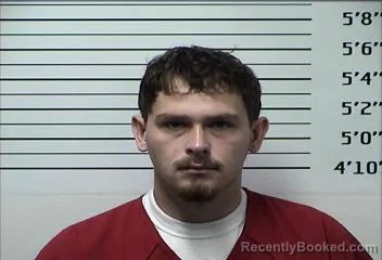 Mugshot of BRAYDON DAKOTA BROWN booked in Rhea County, Tennessee on July 15, 2026