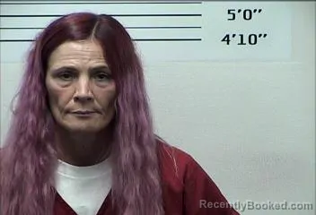 Mugshot of AMY MARIE REVIS booked in Rhea County, Tennessee on August 1, 2026