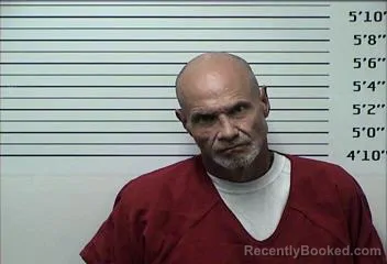 Mugshot of TERRY LYNN ALVEY booked in Rhea County, Tennessee on August 4, 2026