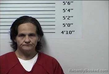 Mugshot of REBEKAH LYNN HIXON booked in Rhea County, Tennessee on August 5, 2026