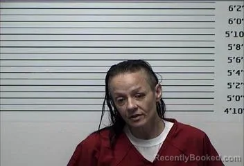 Mugshot of Elycia Ruth Robinson booked in Rhea County, Tennessee on August 16, 2026