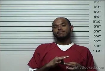 Mugshot of Timothy Coy Bridgeman booked in Rhea County, Tennessee on August 16, 2026