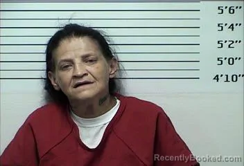 Mugshot of Nancy Christine Mears booked in Rhea County, Tennessee on August 19, 2026