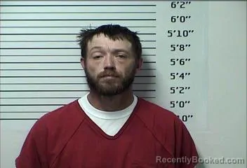 Mugshot of Louie Catlin Millsaps booked in Rhea County, Tennessee on August 19, 2026