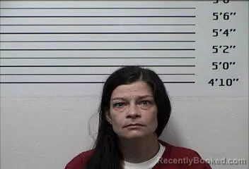 Mugshot of Megan Brooke Goodwin booked in Rhea County, Tennessee on August 20, 2026