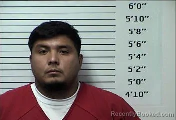 Mugshot of Luis Enrique Tellez Estrada booked in Rhea County, Tennessee on August 24, 2026