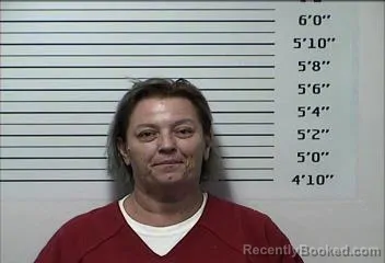 Mugshot of Stacy Michelle Green booked in Rhea County, Tennessee on August 28, 2026
