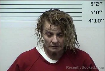 Mugshot of Pamela Denise Sizemore booked in Rhea County, Tennessee on August 30, 2026