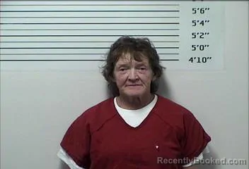 Mugshot of Cathryn Dee Sherrill booked in Rhea County, Tennessee on September 14, 2026