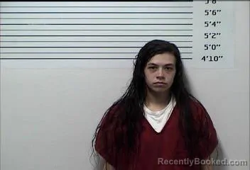 Mugshot of Heather Nicole Gillespie booked in Rhea County, Tennessee on September 18, 2026
