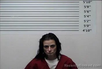 Mugshot of Christy Ann Phillips booked in Rhea County, Tennessee on October 3, 2026