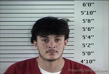 Mugshot of Aiden Lee Dunn booked in Rhea County, Tennessee on October 11, 2026