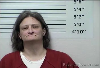 Mugshot of Tara Leanne Lewis booked in Rhea County, Tennessee on October 24, 2026