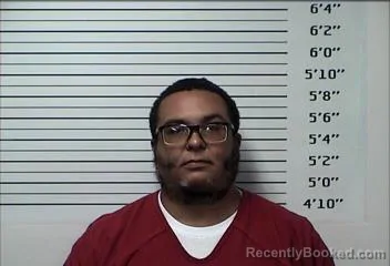 Mugshot of Tyler Donovan Ray booked in Rhea County, Tennessee on October 25, 2026