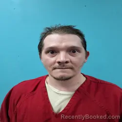 Mugshot of JEREMY GLENN BABINEAU booked in Roane County, Tennessee on July 1, 2026