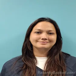 Mugshot of AMANDA JEAN DISHNER booked in Roane County, Tennessee on June 13, 2026