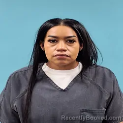 Mugshot of MEGAN NICOLE LOWE