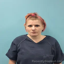 Mugshot of LACEY ANNETTE HOOPER booked in Roane County, Tennessee on April 2, 2026