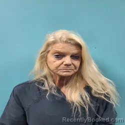 Mugshot of Karen Lynn Vespie booked in Roane County, Tennessee on August 10, 2026