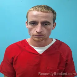 Mugshot of BRANNON ANTHONY HENNINGS booked in Roane County, Tennessee on June 25, 2026