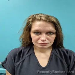 Mugshot of STEPHANIE NICOLE GODSEY booked in Roane County, Tennessee on June 23, 2026
