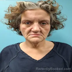 Mugshot of MISTY DAWN MANIS booked in Roane County, Tennessee on March 5, 2026