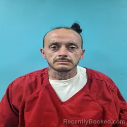 Mugshot of FREDDY RAY COLLINS booked in Roane County, Tennessee on May 2, 2026