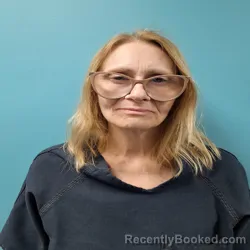Mugshot of DAWN RINA YORK