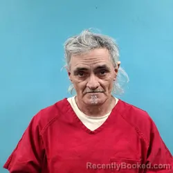 Mugshot of CHARLES HENRY ISHAM booked in Roane County, Tennessee on April 3, 2026