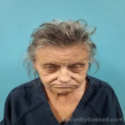 Mugshot of Patricia Diana Oran booked in Roane County, Tennessee on August 20, 2026