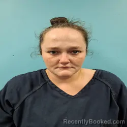 Mugshot of LAURA-JEAN GIBSON LUNSFORD booked in Roane County, Tennessee on March 21, 2026