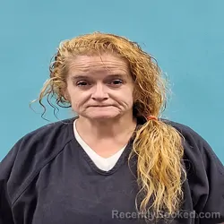 Mugshot of SHANNON DENISE BARNES