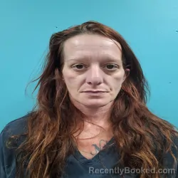 Mugshot of DANIELLE RENEE LAWSON
