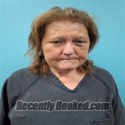 Booking photo from Roane County, Tennessee