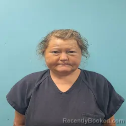 Mugshot of SHAUNA DENISE LODEN booked in Roane County, Tennessee on June 20, 2026