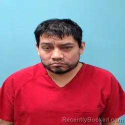 Mugshot of DANY FEDERICO RAMOS booked in Roane County, Tennessee on March 23, 2026