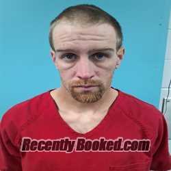 Booking photo from Roane County, Tennessee