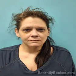 Mugshot of SARAH MARIE HENNESSEY booked in Roane County, Tennessee on May 3, 2026