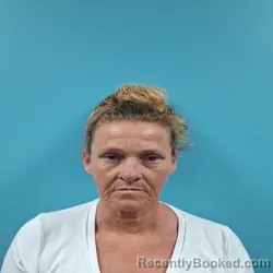 Mugshot of BRENDA SUE GILMORE booked in Roane County, Tennessee on June 30, 2026