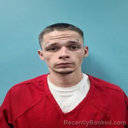 Mugshot of ALEXANDER AURELIUS HARMON booked in Roane County, Tennessee on May 23, 2026