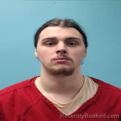 Booking photo from Roane County, Tennessee