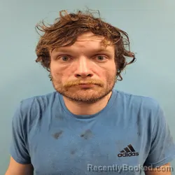 Booking photo from Roane County, Tennessee