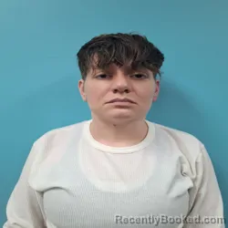 Mugshot of EMILY KALENE DICKERSON